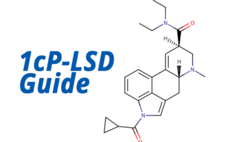 1cp-lsd lsd 1cplsd guide anleitung dosierung nutzen risiken alternative