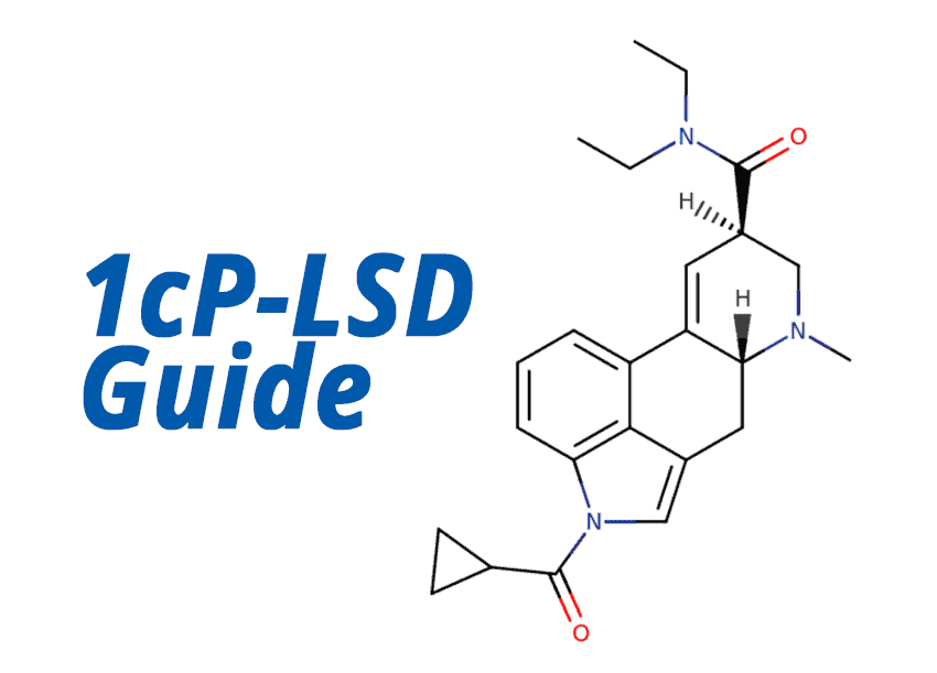 1cp-lsd lsd 1cplsd guide anleitung dosierung nutzen risiken alternative