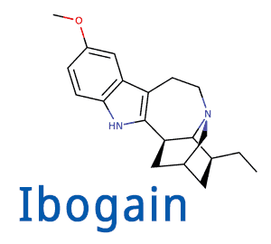 iboga ibogain microdosing anleitung guide