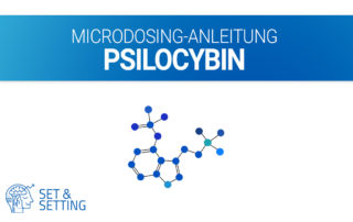 mushrooms pilze psilocybin microdosing microdosen anleitung guide erfahrung erfahrungsberichte dosis