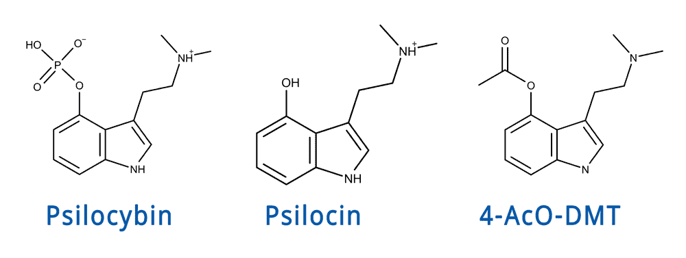 4acodmt vs psilocybin vs psilocin vergleich comparison molecule molekülstruktur