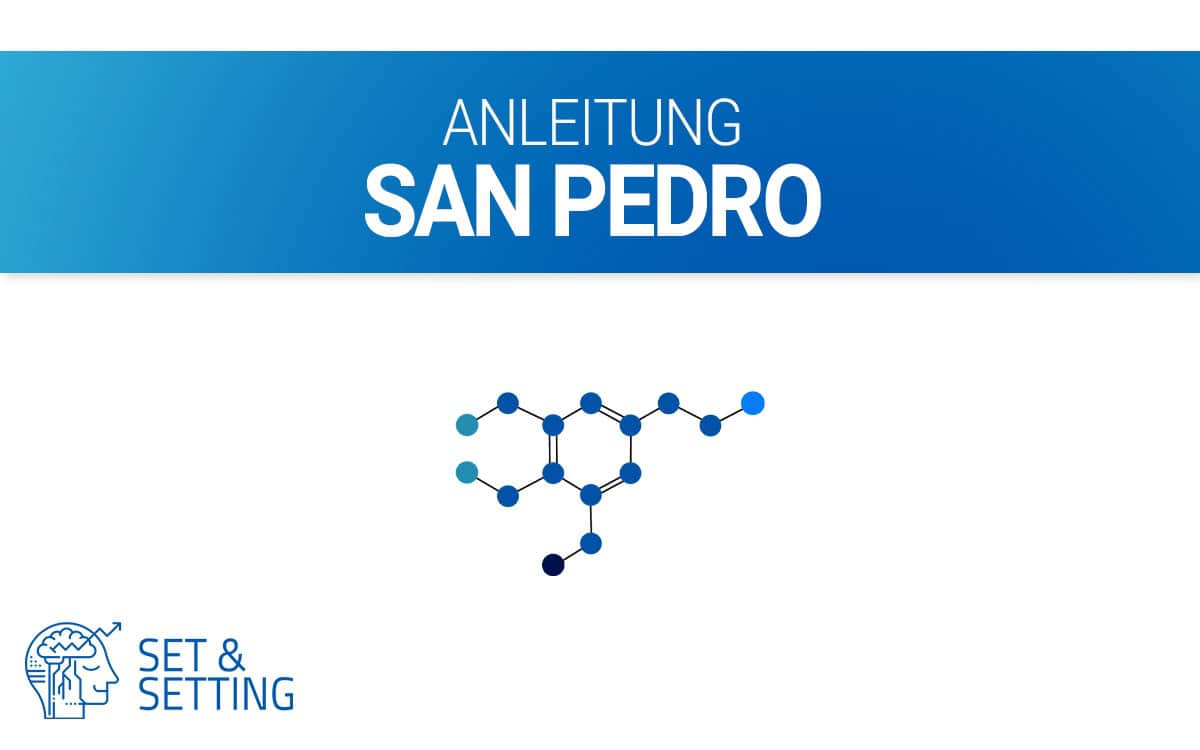 san pedro anleitung meskalin dosierung