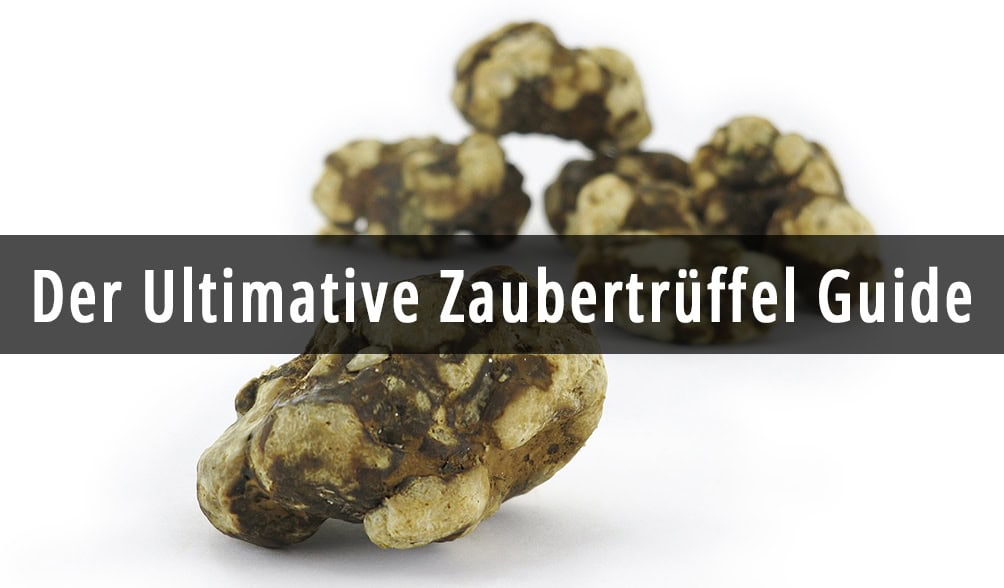 Der Ultimative Zaubertrüffel Anleitung (Legalität, Dosierung) - Set ...
