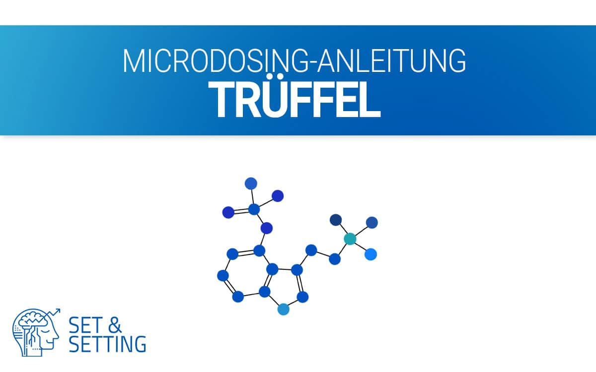 Magische Trüffel magic truffles Zaubertrüffel Microdosing Anleitung kaufen Onlineshop legal Deutschland