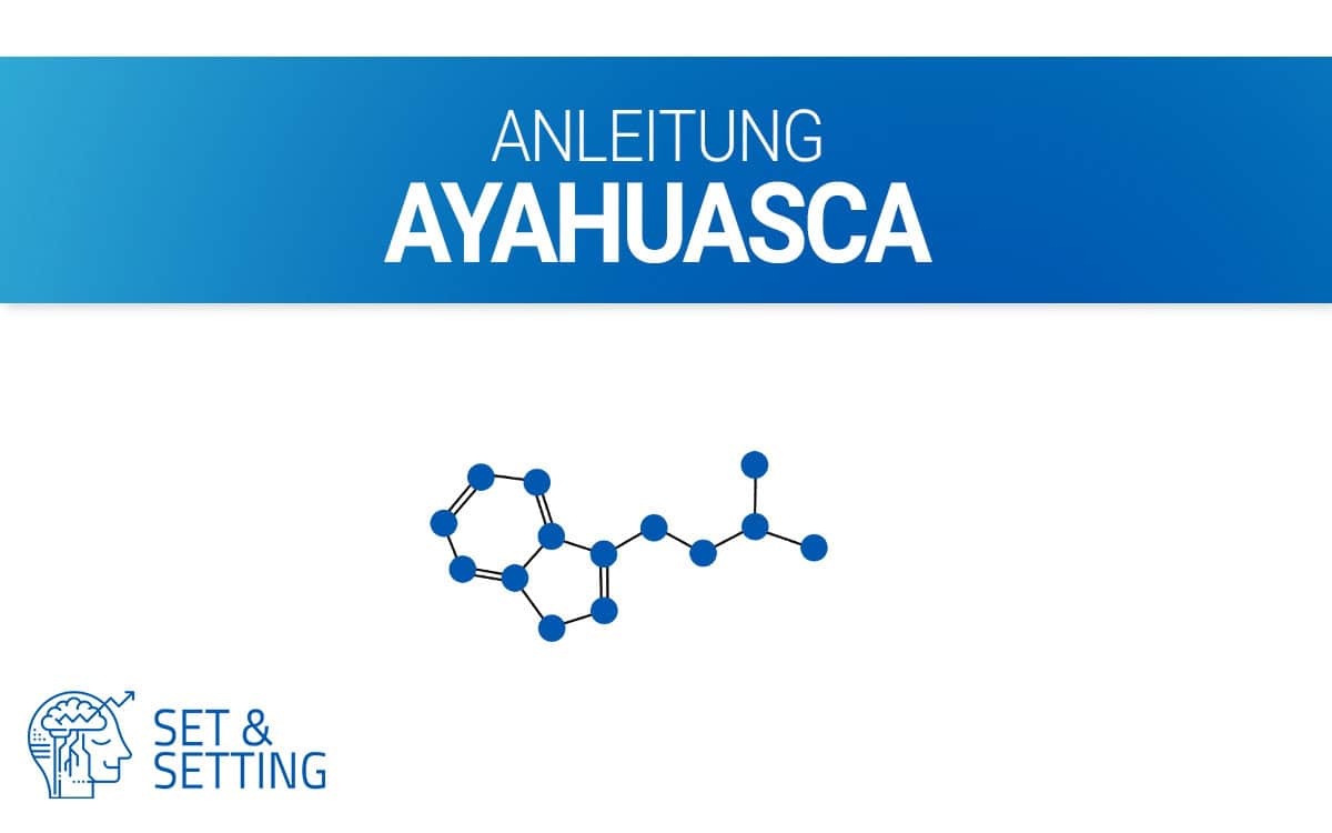 Ayahuasca Anleitung dosierung