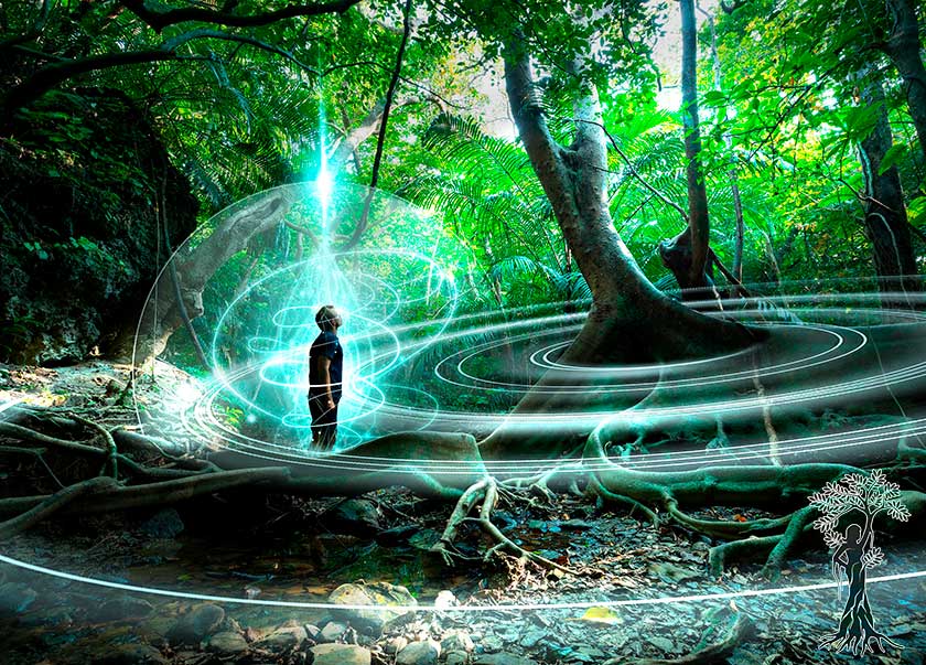 wirkung Ayahuasca Anleitung