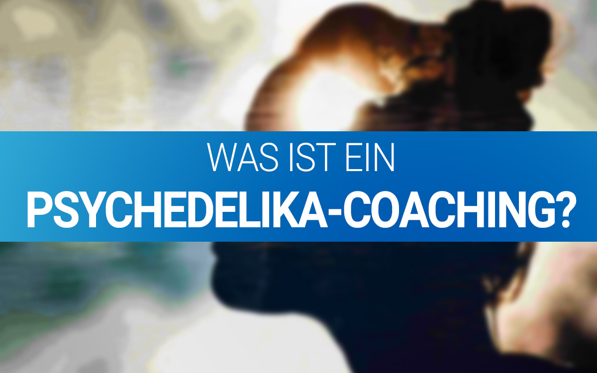 psychedelika coaching psychedelic coaching jascha renner sicherheit hilfe mentoring