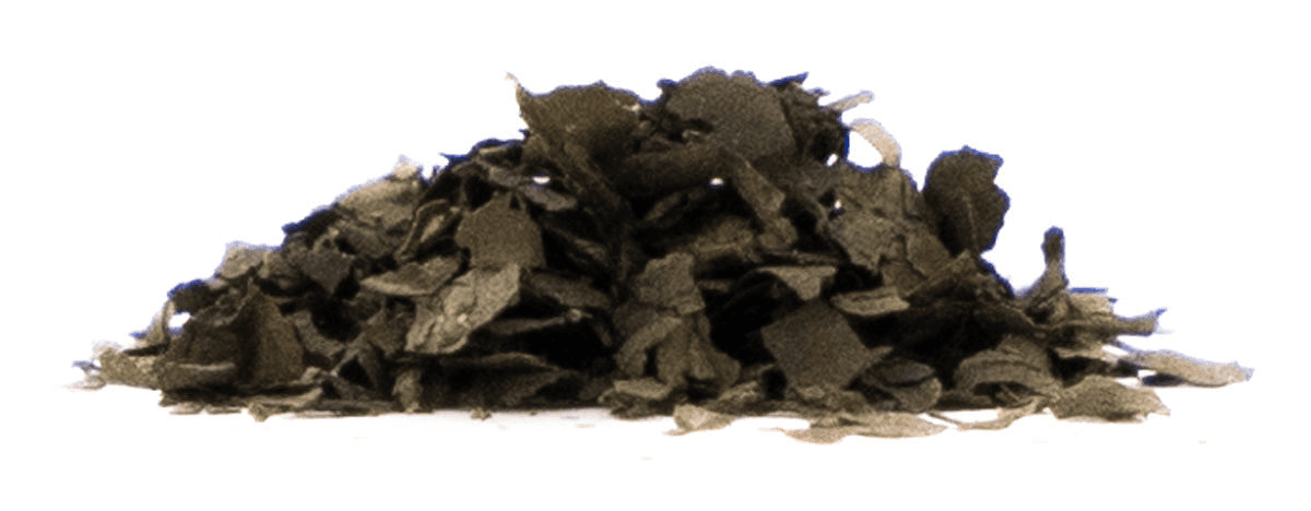 saa salvia divinorum extrakt 50x 20x 5x