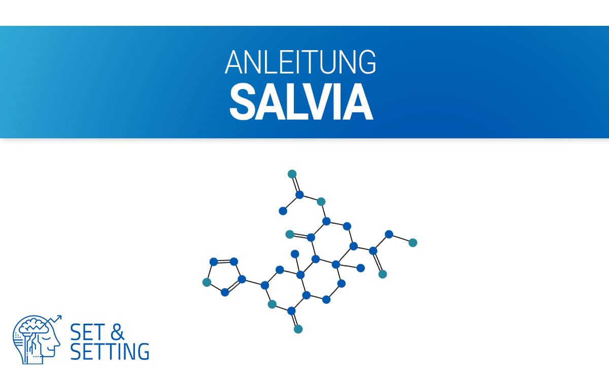 substanzen_salvia salvia divinorum anleitung salvinora slivnia a salvinorin a mazateken schamanen mexiko oaxaca