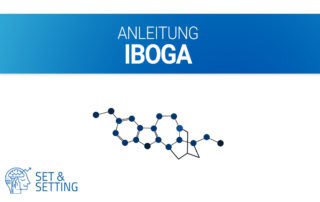 tabernanthe iboga ibogain psychedelika dosierung anleitung guide wie nehmen
