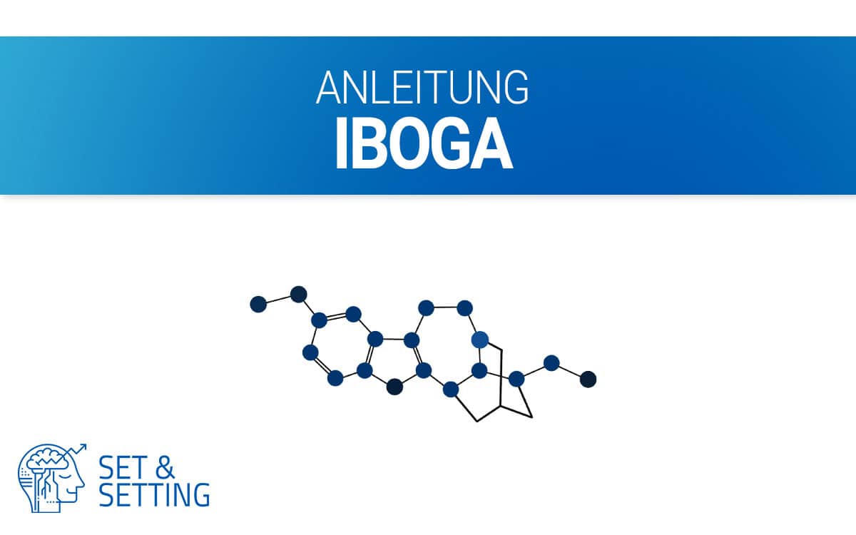 substanzen_iboga tabernanthe iboga ibogain psychedelika dosierung anleitung guide wie nehmen