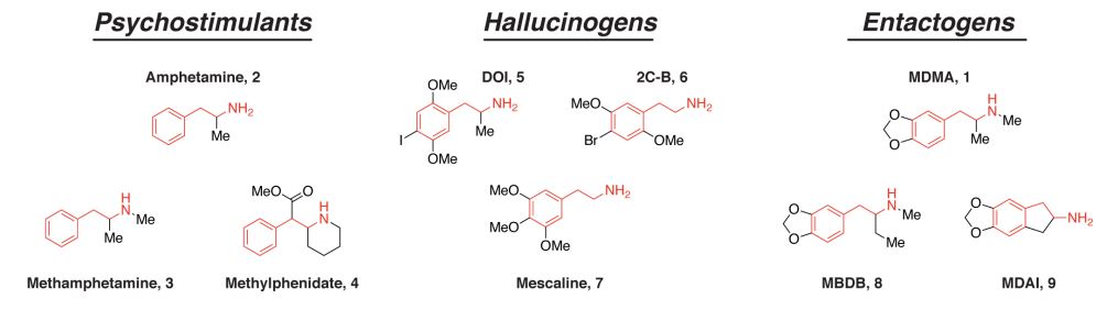 MDMA_structural_relations