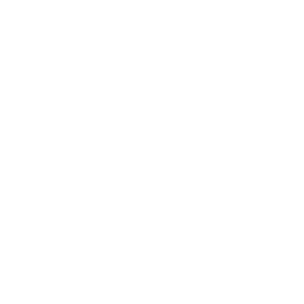 logo_groß_weiß