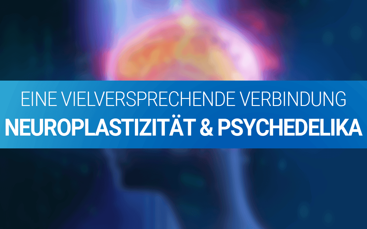 BLOG_psychedelikagehirn