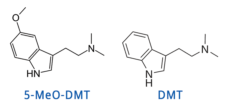 DMT Molekül - in Yopo enthalten was die psychedelische Wirkung hervorruft