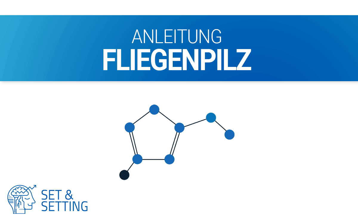 Fliegenpilz Droge Anleitung Cover